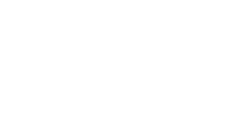 Digital Dragons